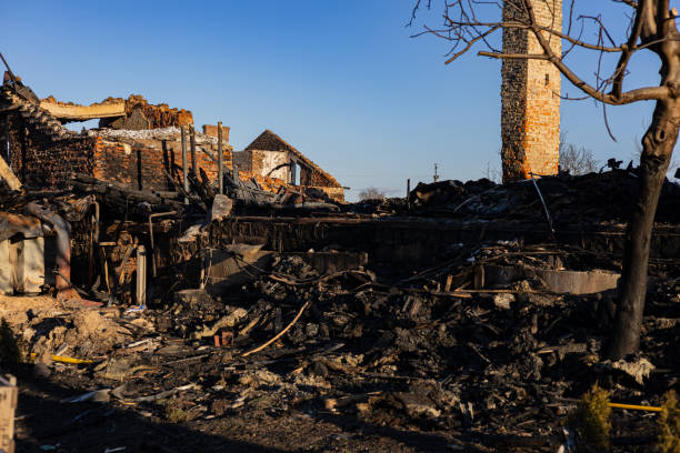 Reliable Board Up Services contractor in Springfield, MN by Fire Damage Doption