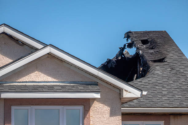 Top rated local Board Up Services specialists in Springfield, MN